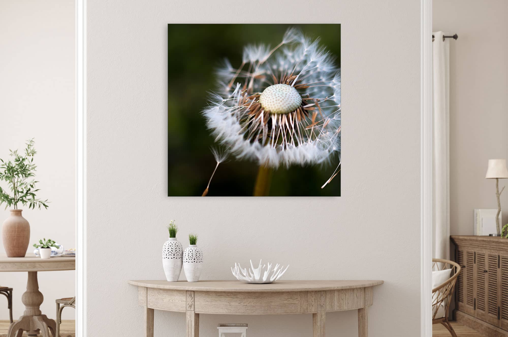 Akustikbild Pusteblume Löwenzahn