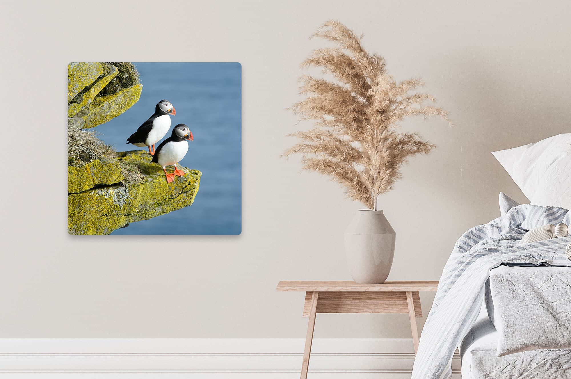 Akustikbild Papageitaucher