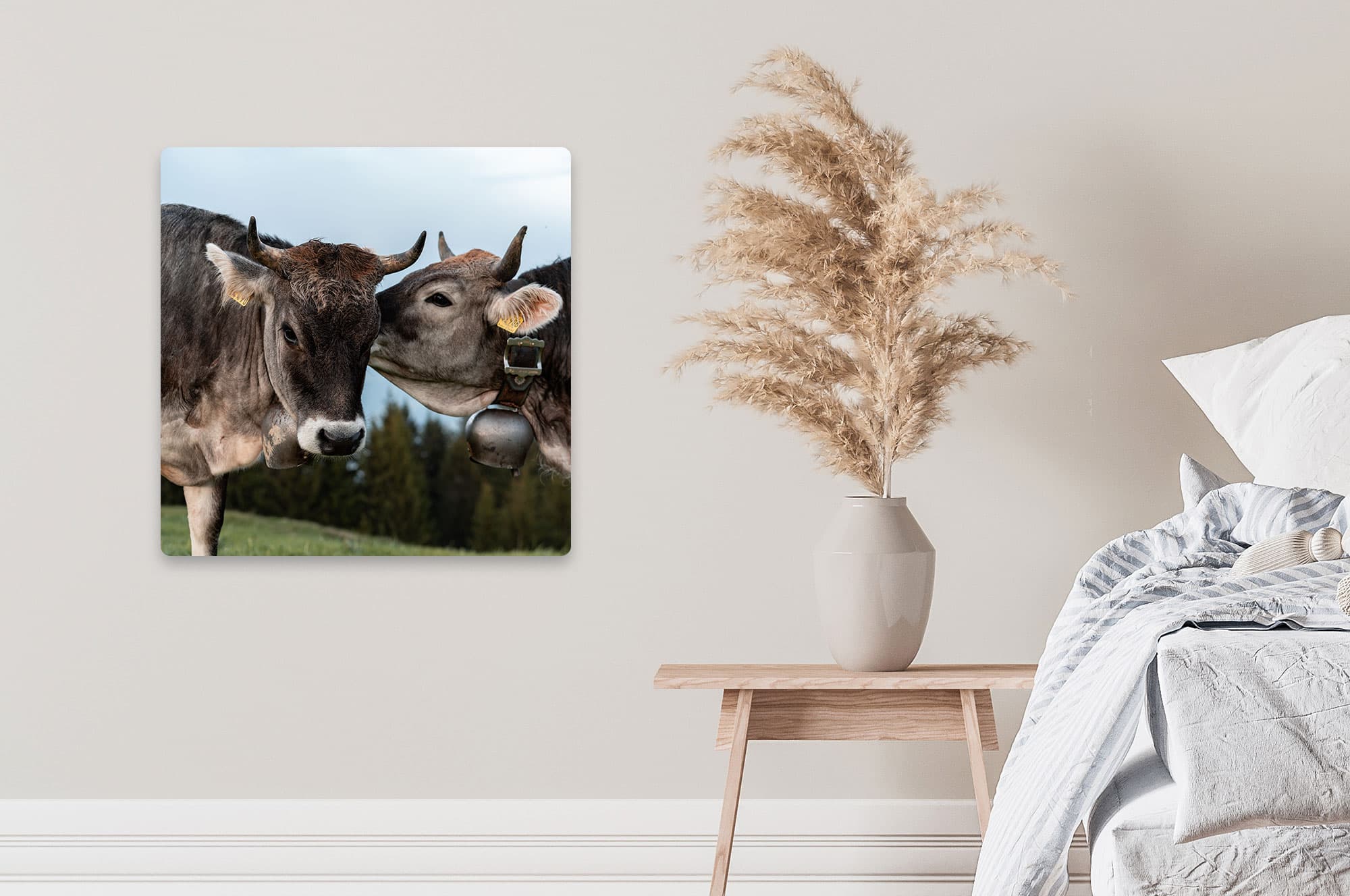 Akustikbild Kuh Kuss