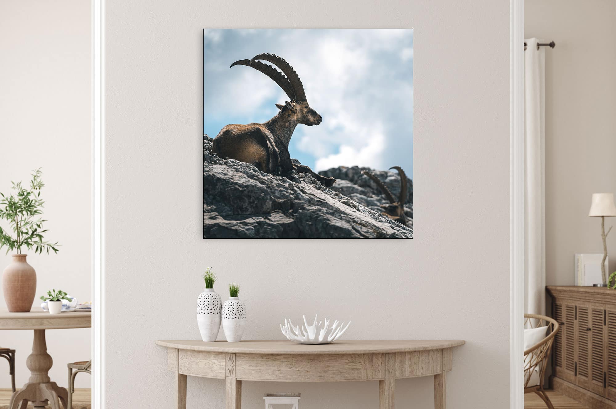 Akustikbild Steinbock