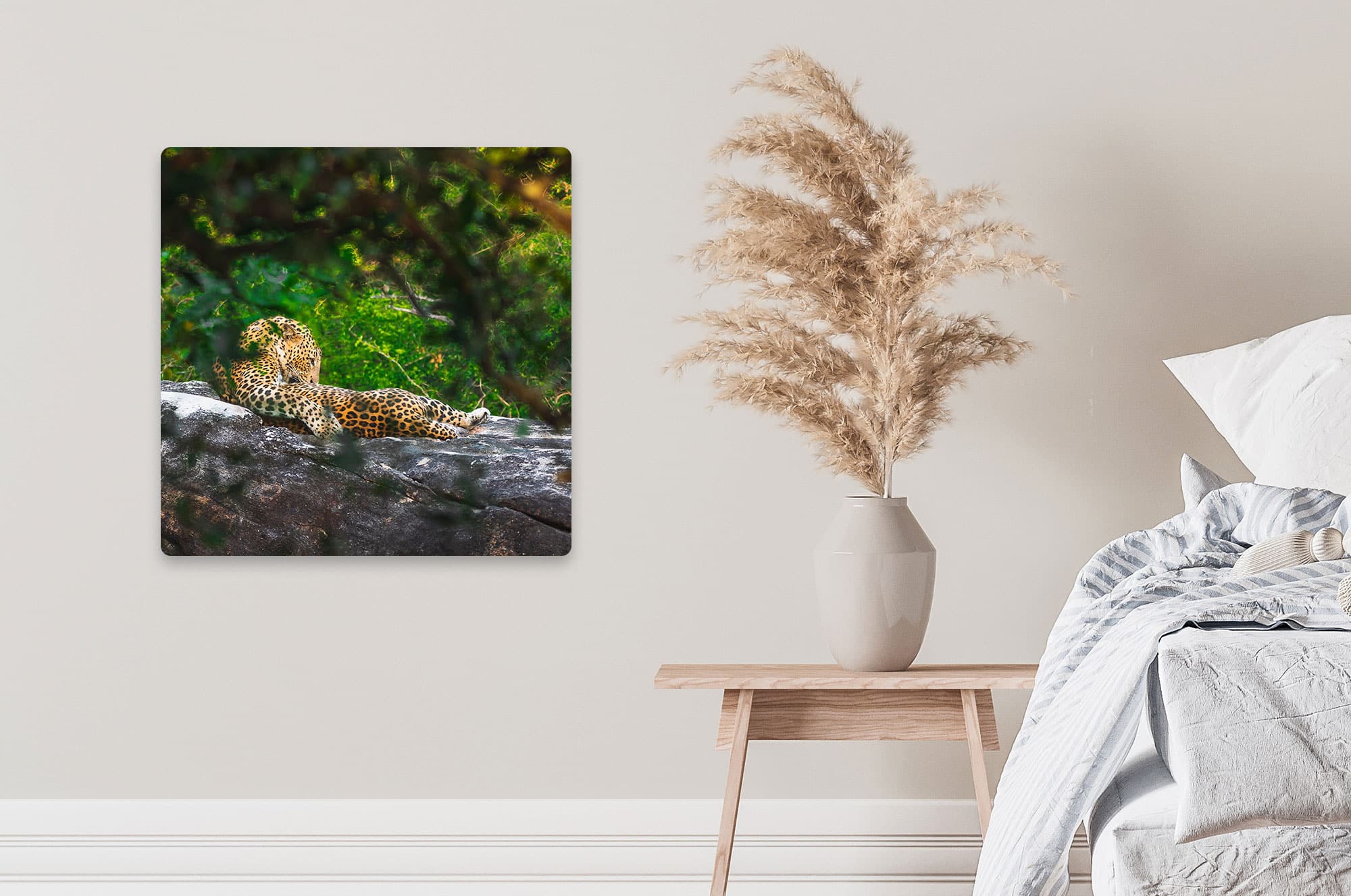 Akustikbild Leopard