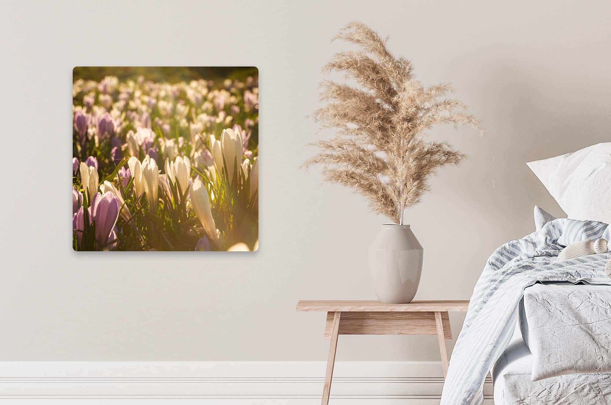 Akustikbild Krokusblüte Allgäuer Hochalpen