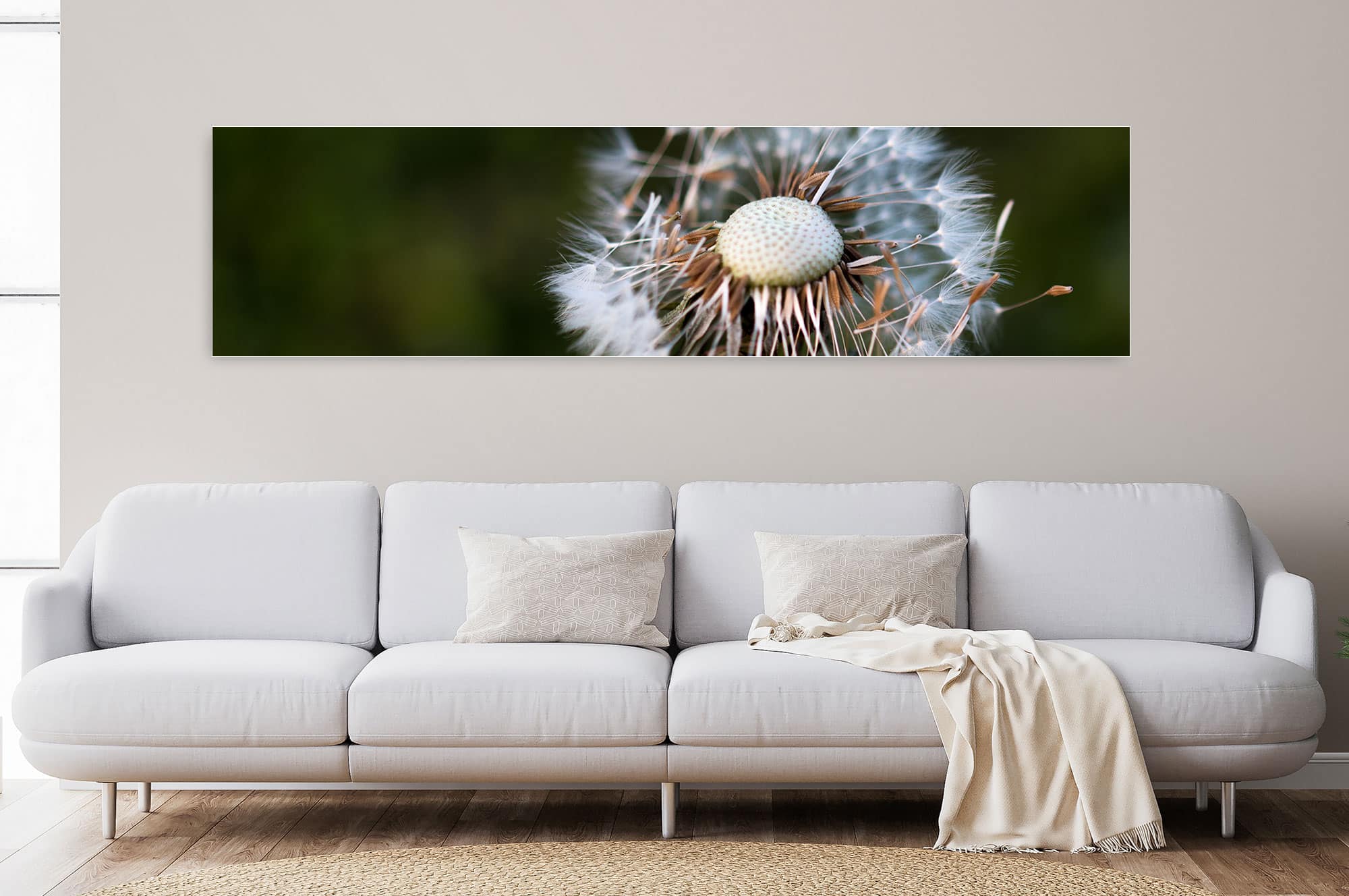 Akustikbild Pusteblume Löwenzahn