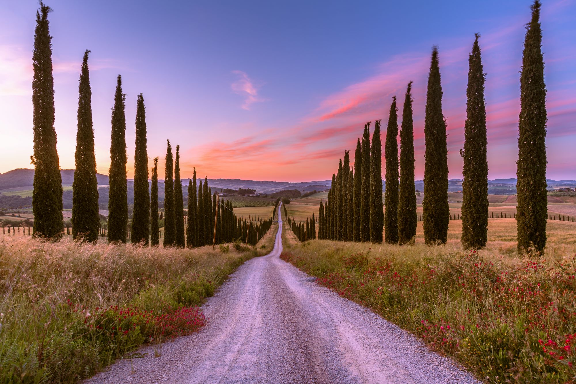 Akustikbild Zypressenallee