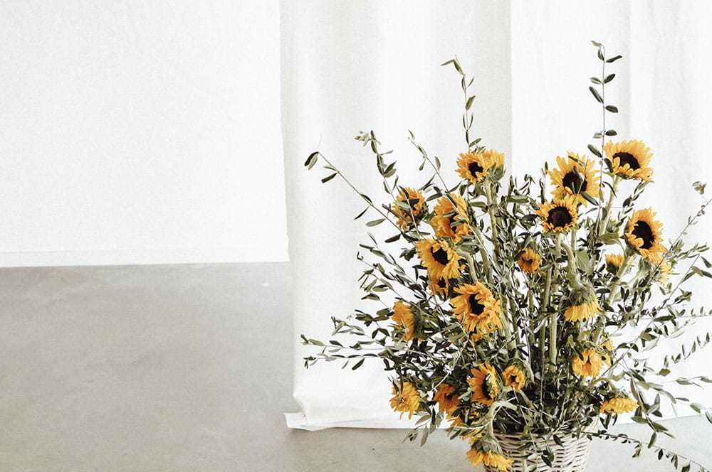 Akustikbild Sonnenblumenstrauß