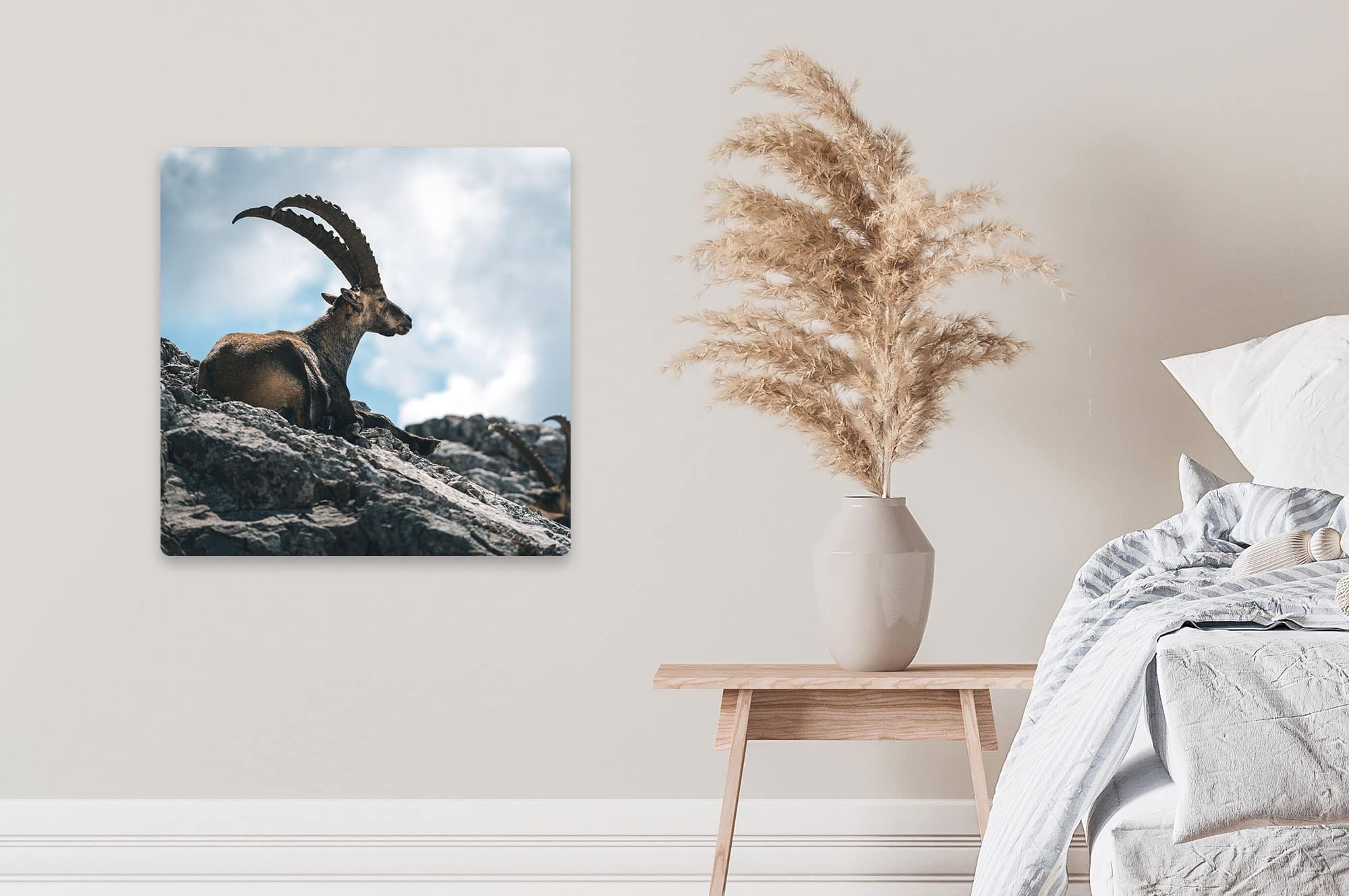 Akustikbild Steinbock