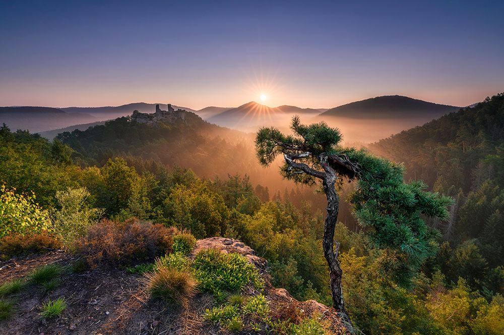 Akustikbild Sonnenaufgang Pfälzerwald