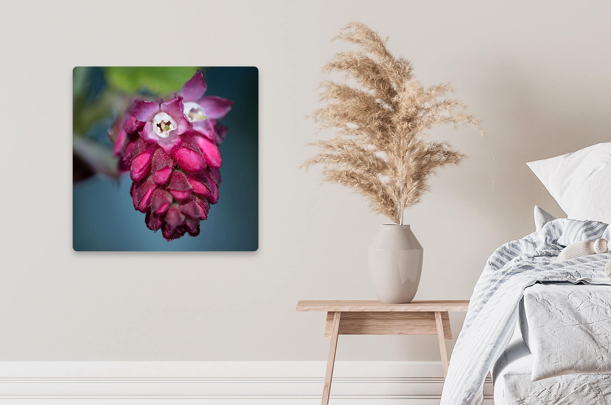 Akustikbild Johannisbeerblüte