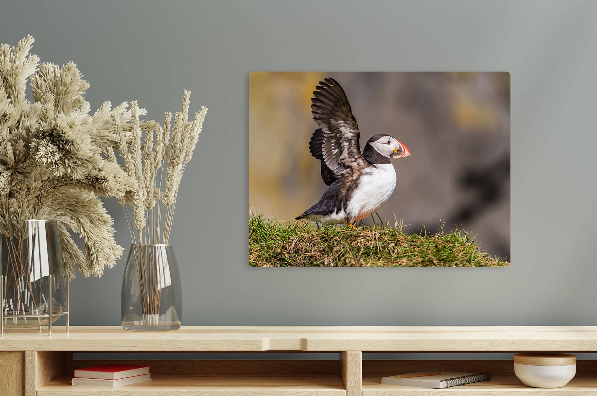 Akustikbild Papageitaucher
