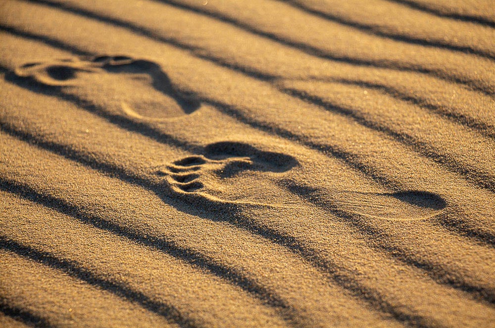 Akustikbild Spuren im Sand Dune Du Pilat Frankreich