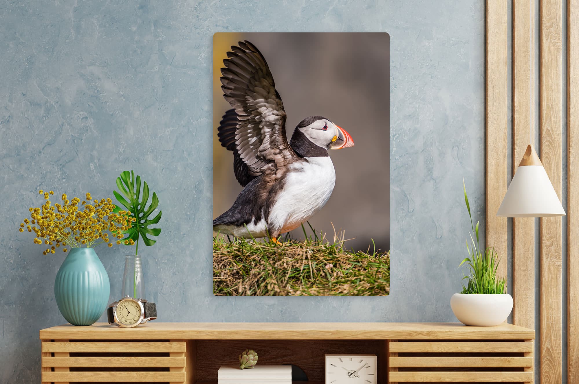 Akustikbild Papageitaucher