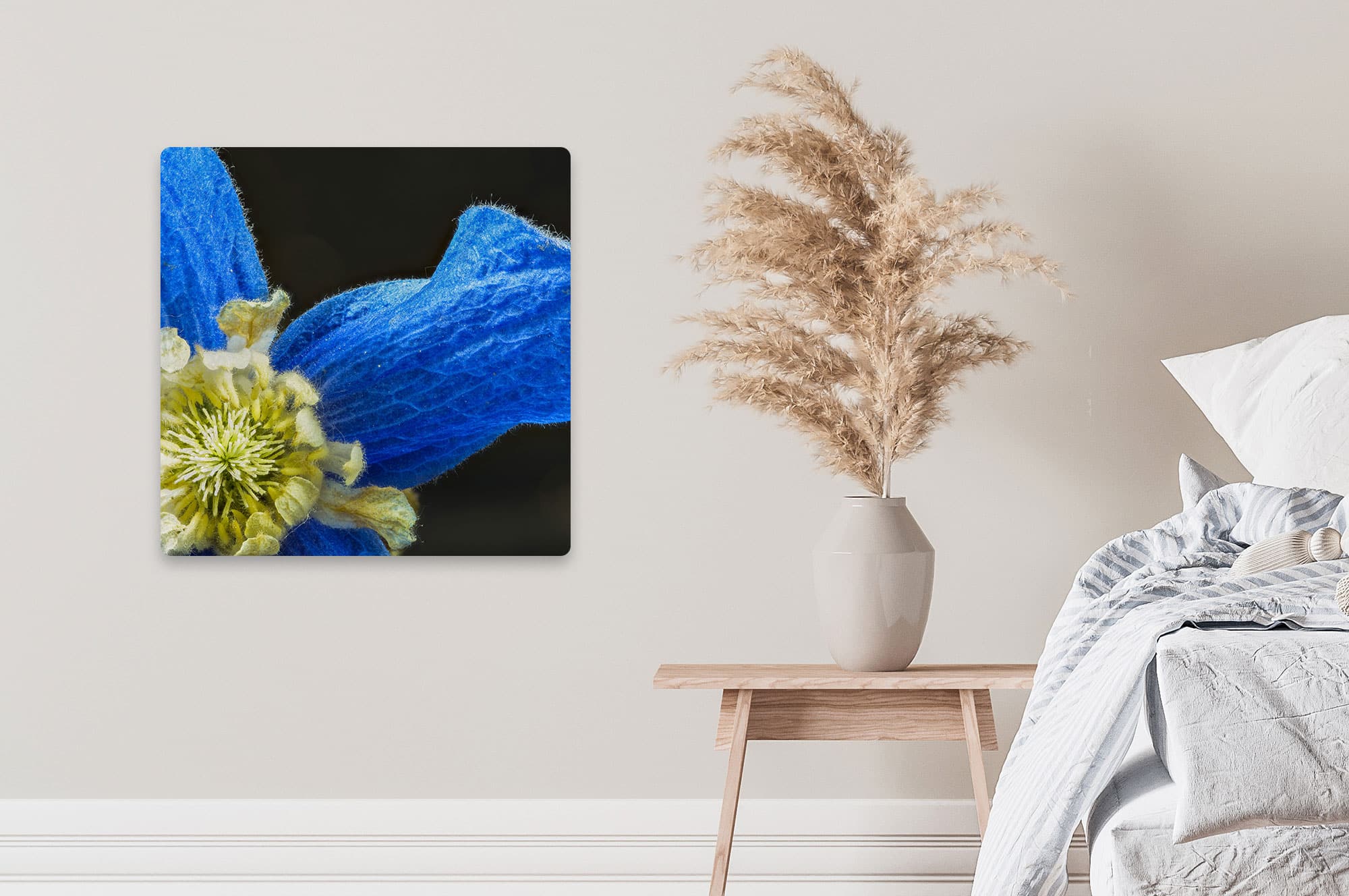 Akustikbild Blüte blau