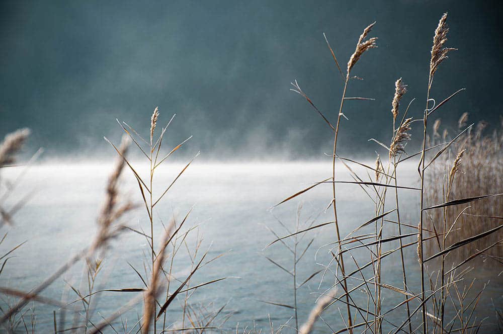 Akustikbild Weißensee Gras