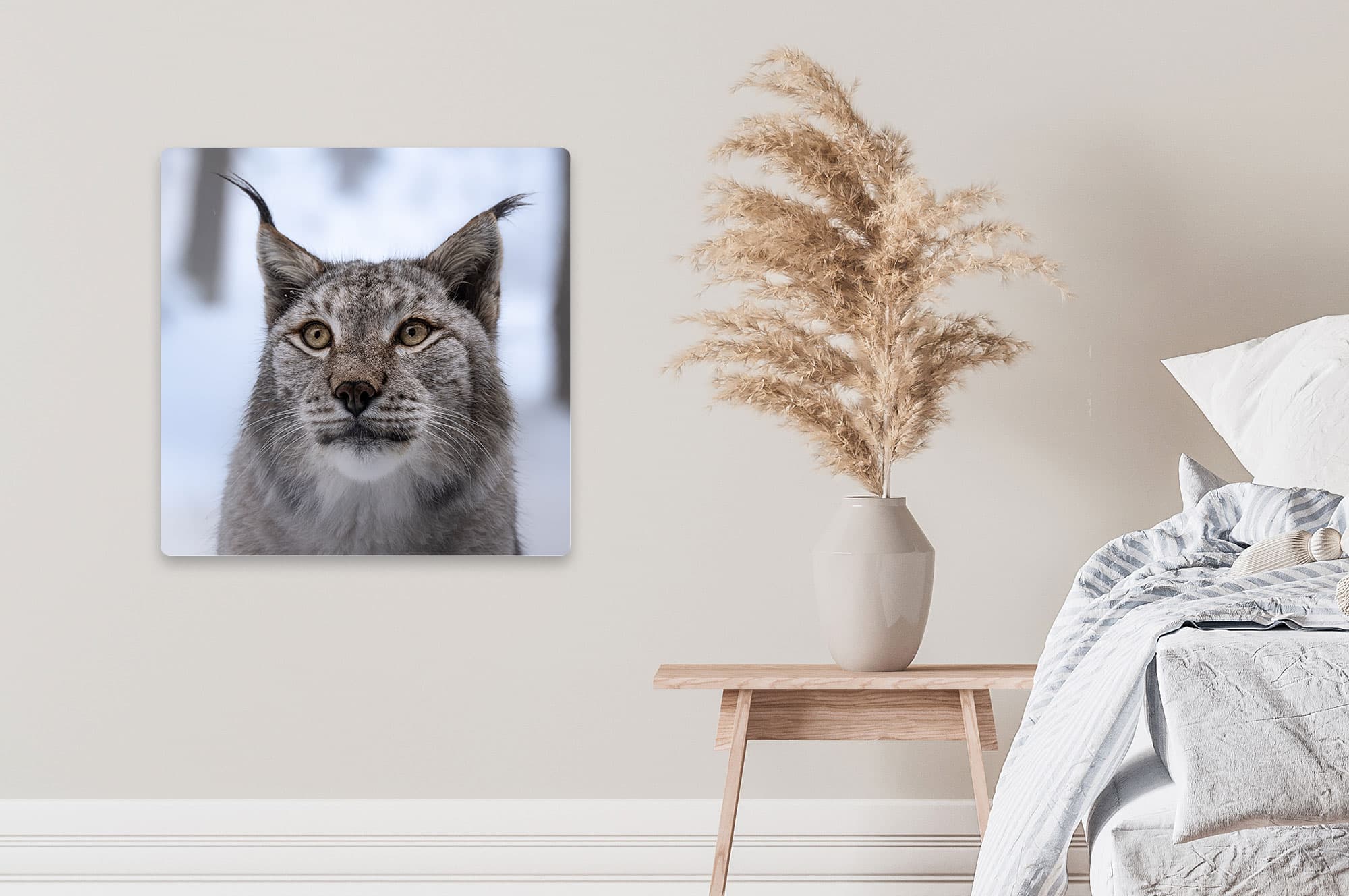 Akustikbild Luchs Portrait