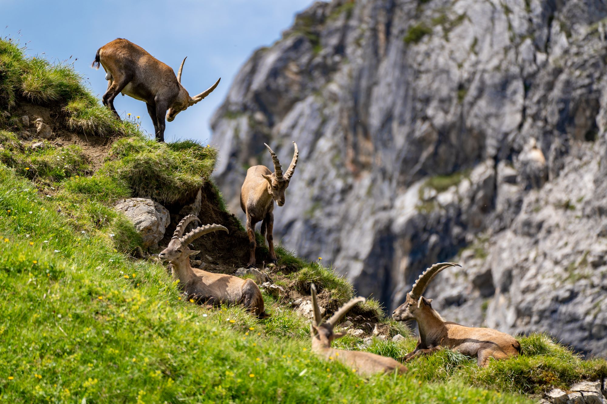 Akustikbild Rappalptal