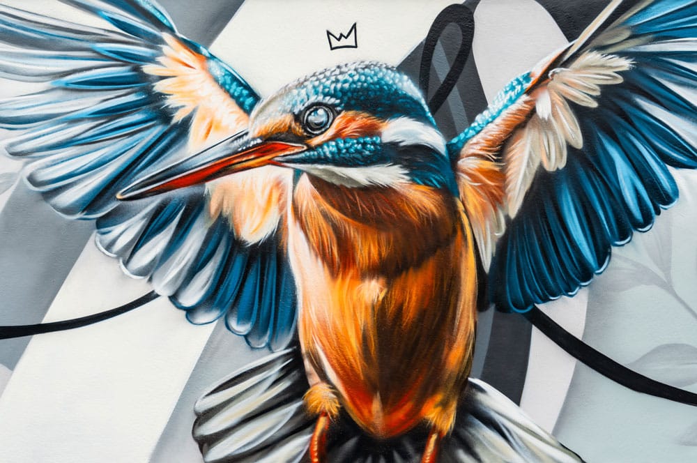 Akustikbild Eisvogel