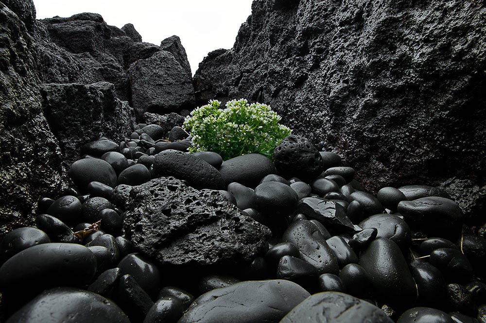 Akustikbild Vulkan Island