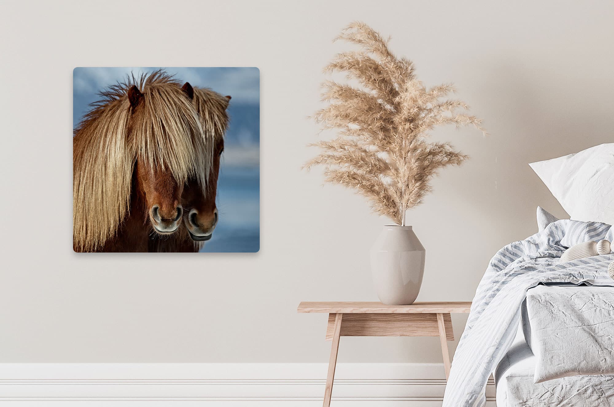 Akustikbild Islandpony