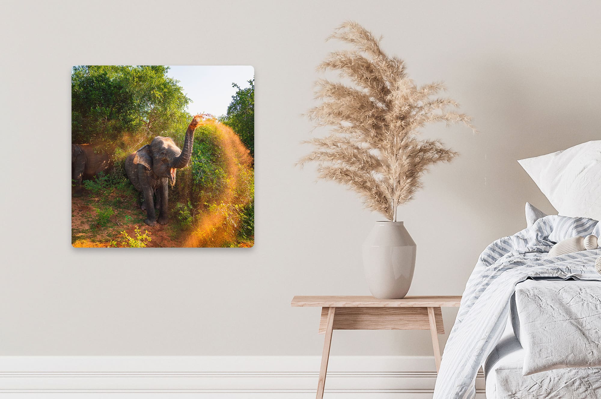 Akustikbild Elefant