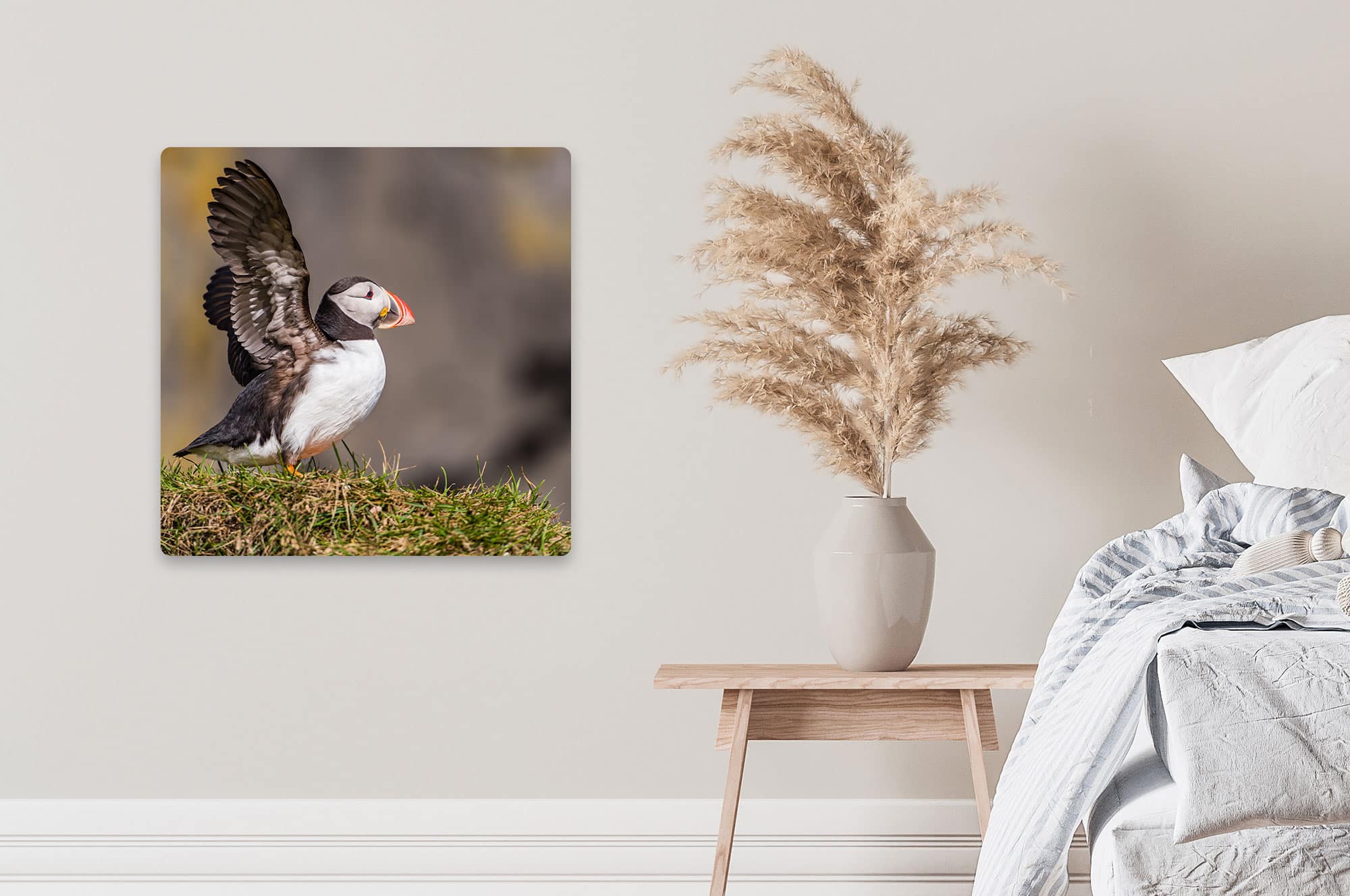 Akustikbild Papageitaucher