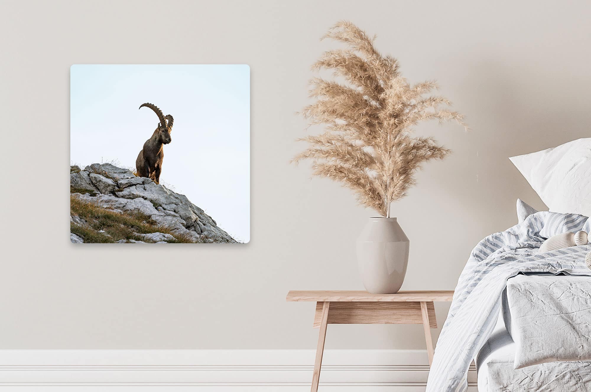 Akustikbild Steinbock am Fels Allgäuer Hochalpen