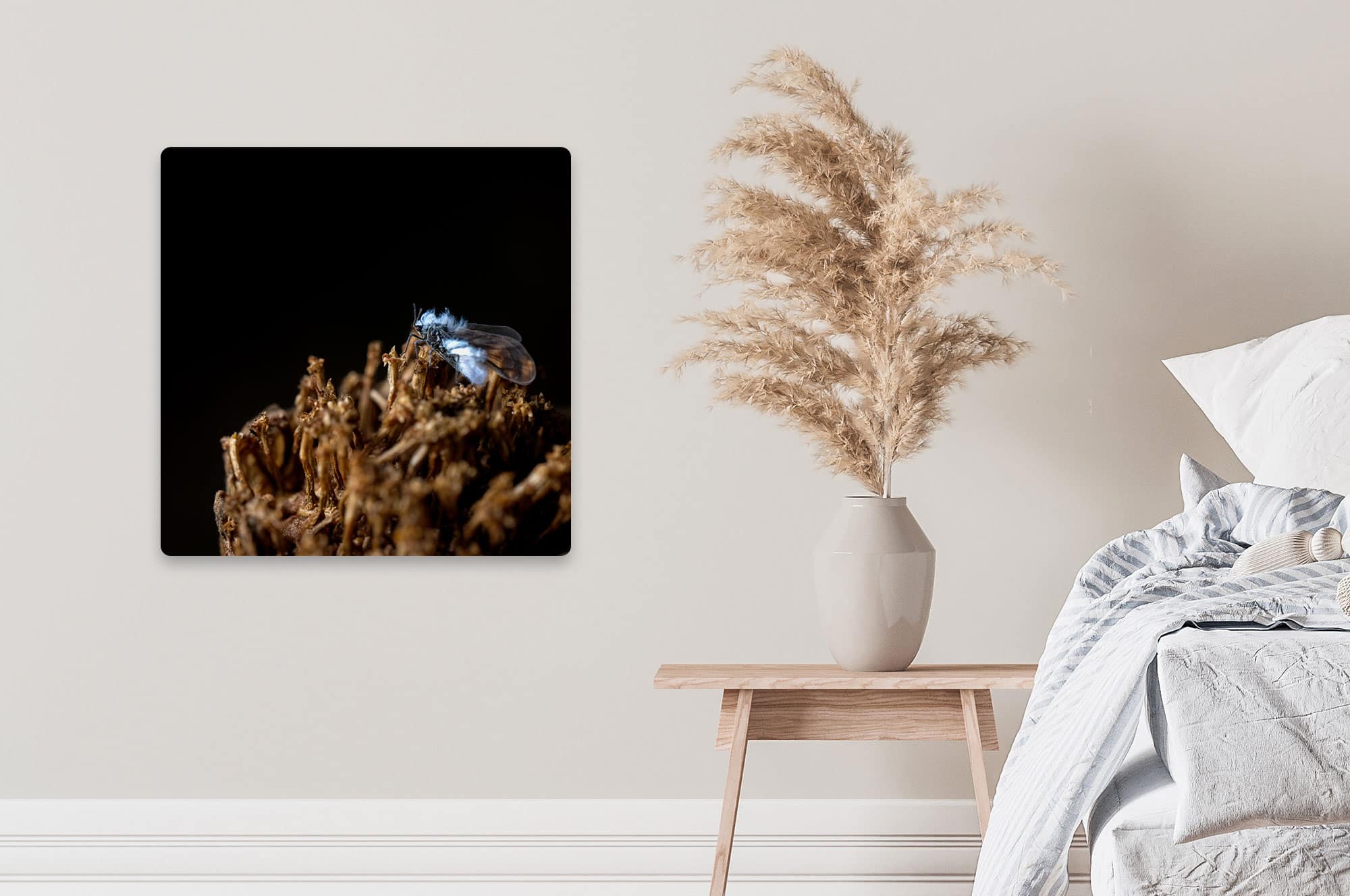 Akustikbild Fliege Makrofotografie