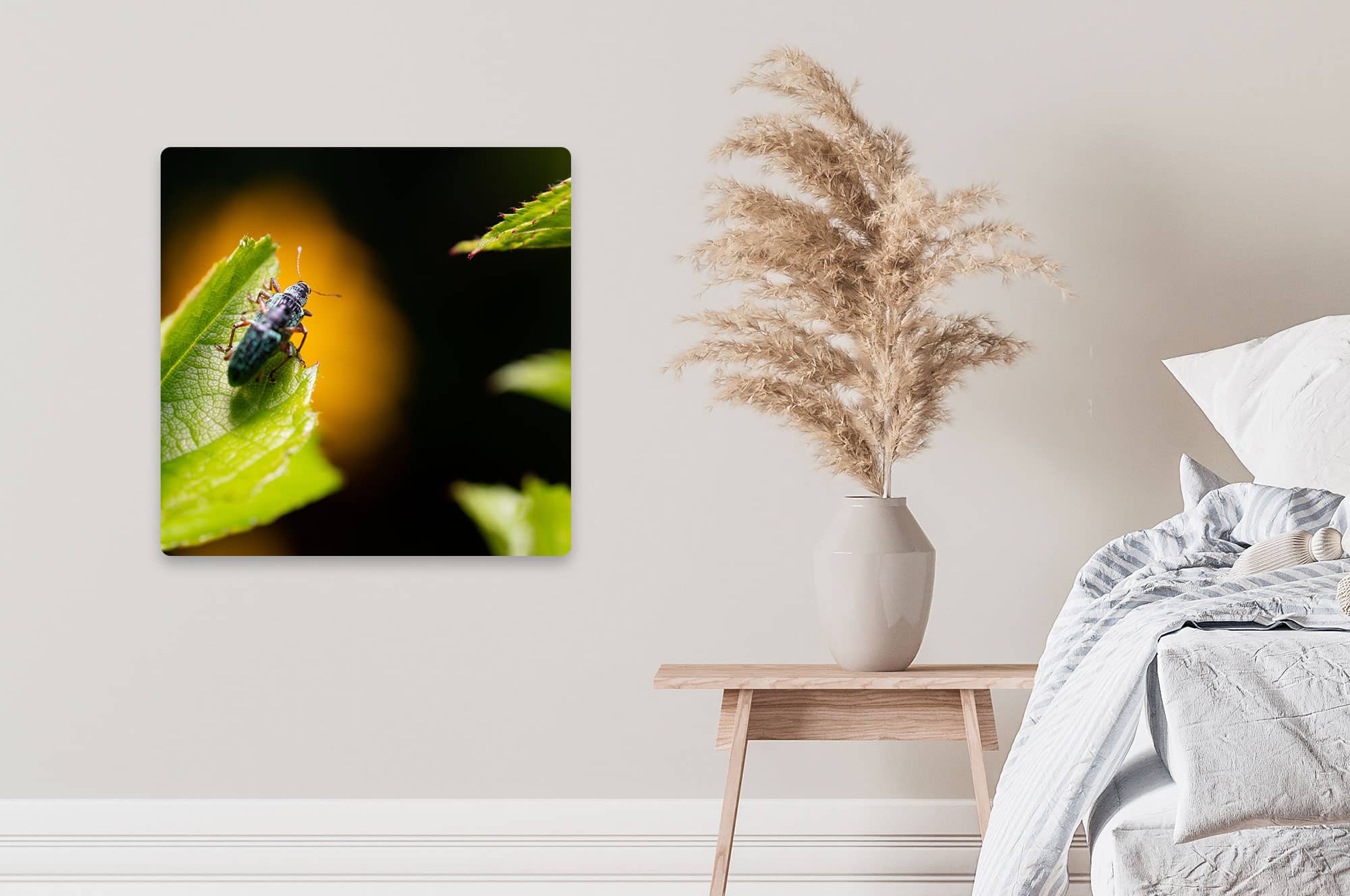 Akustikbild Käfer Makrofotografie