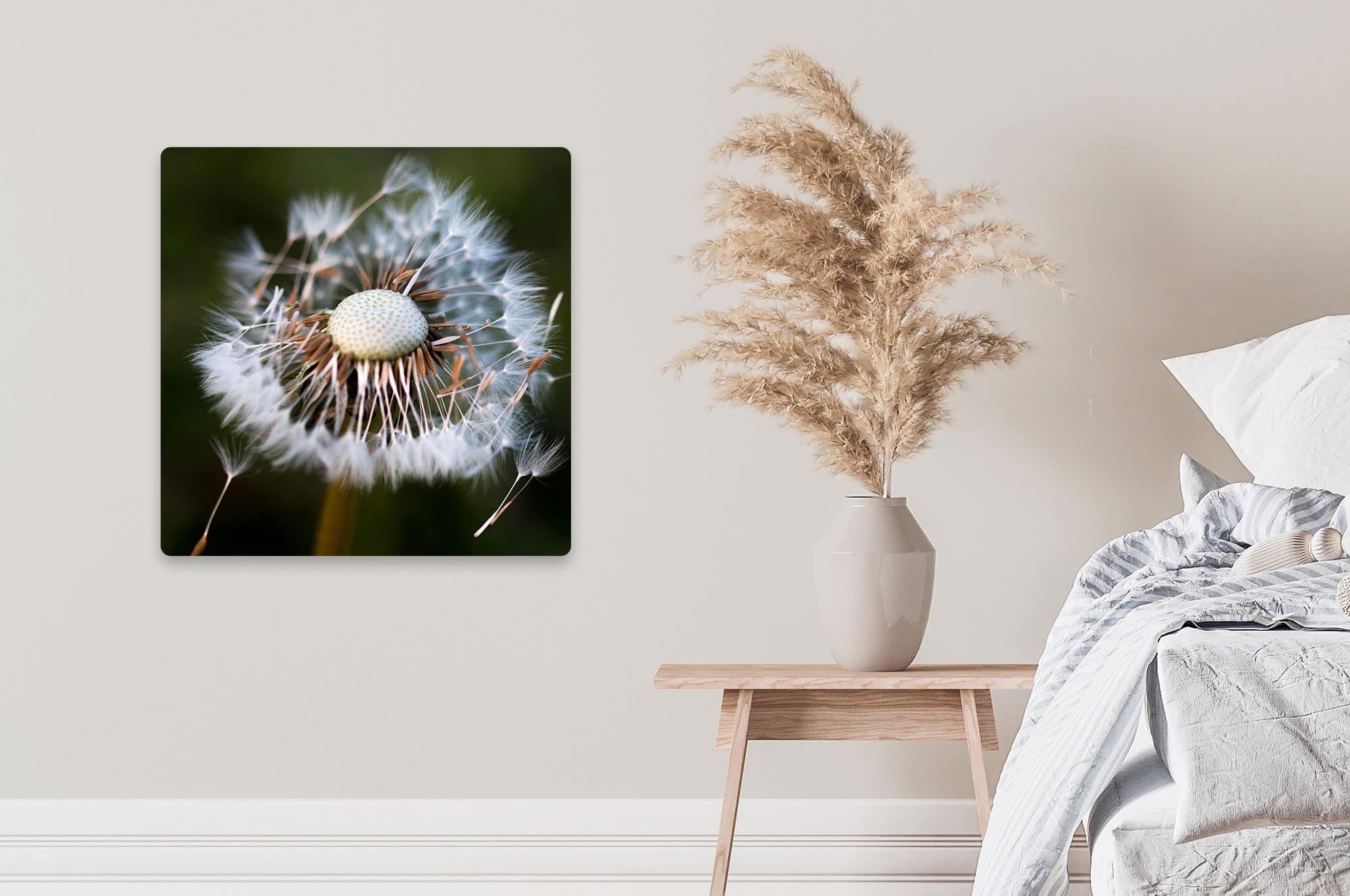 Akustikbild Pusteblume Löwenzahn