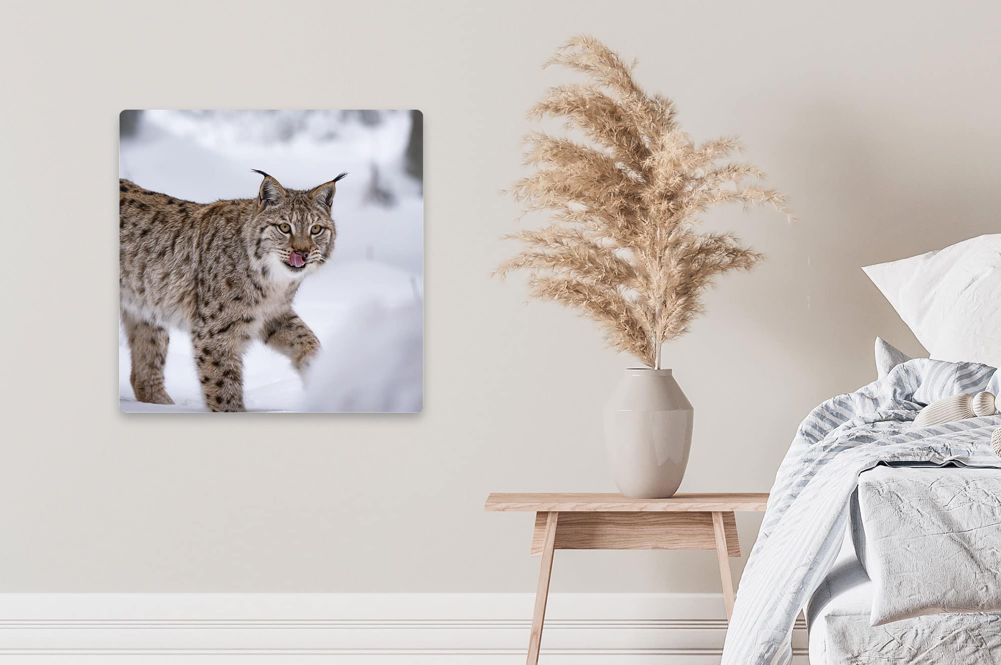 Akustikbild Luchs
