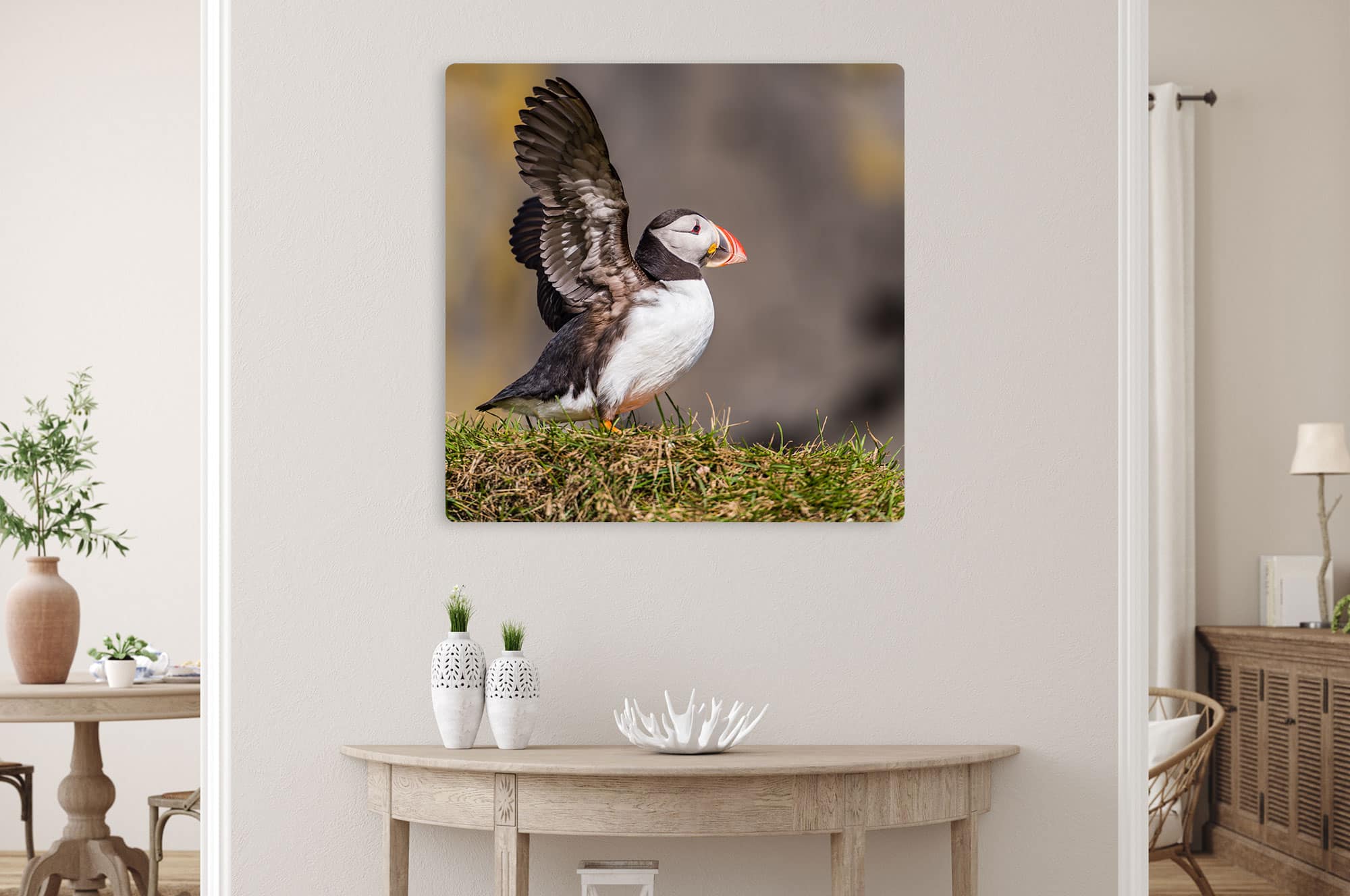 Akustikbild Papageitaucher