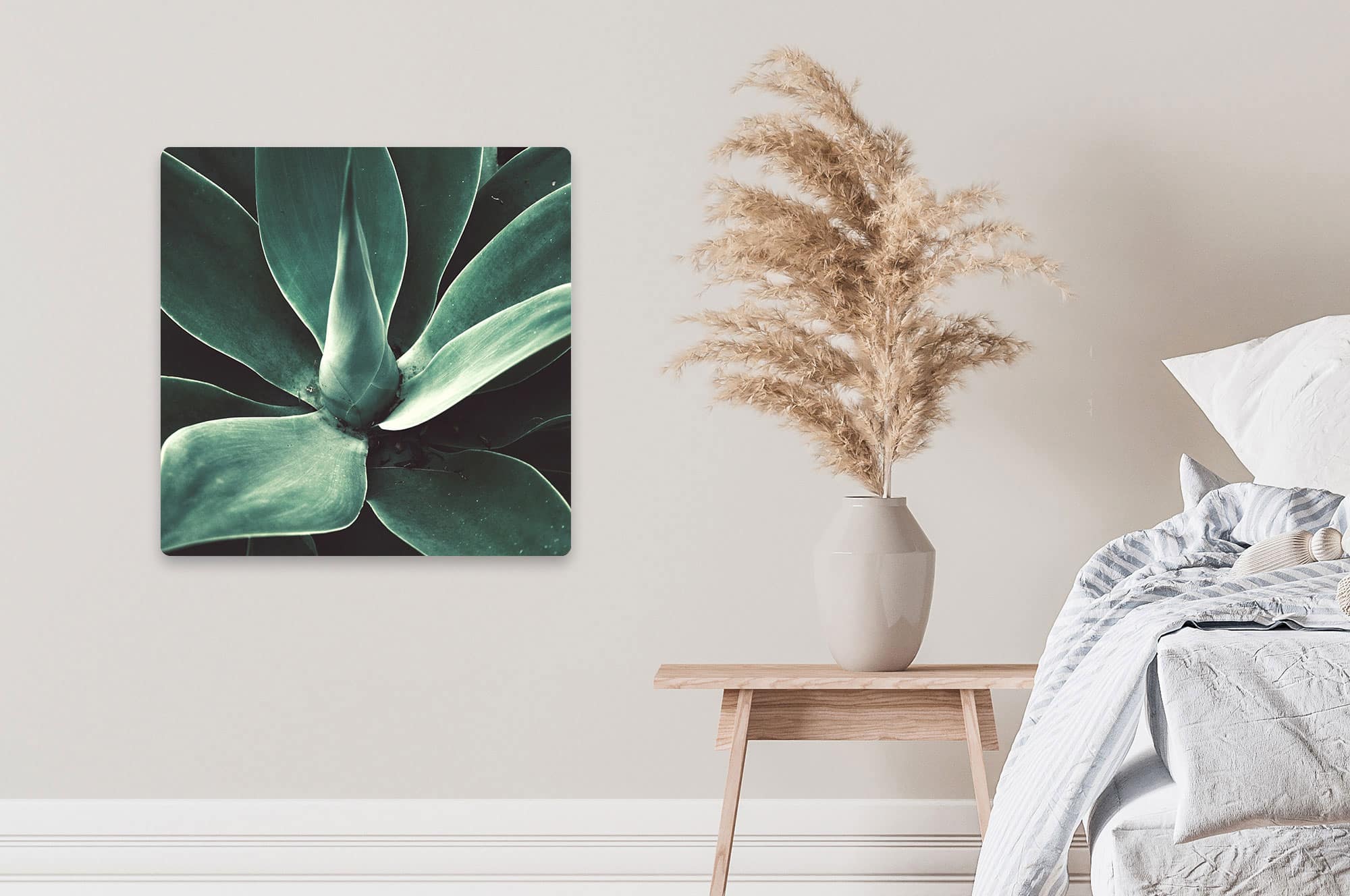 Akustikbild Agave 1