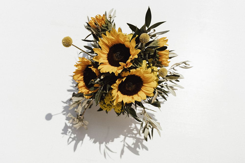 Akustikbild Sonnenblume