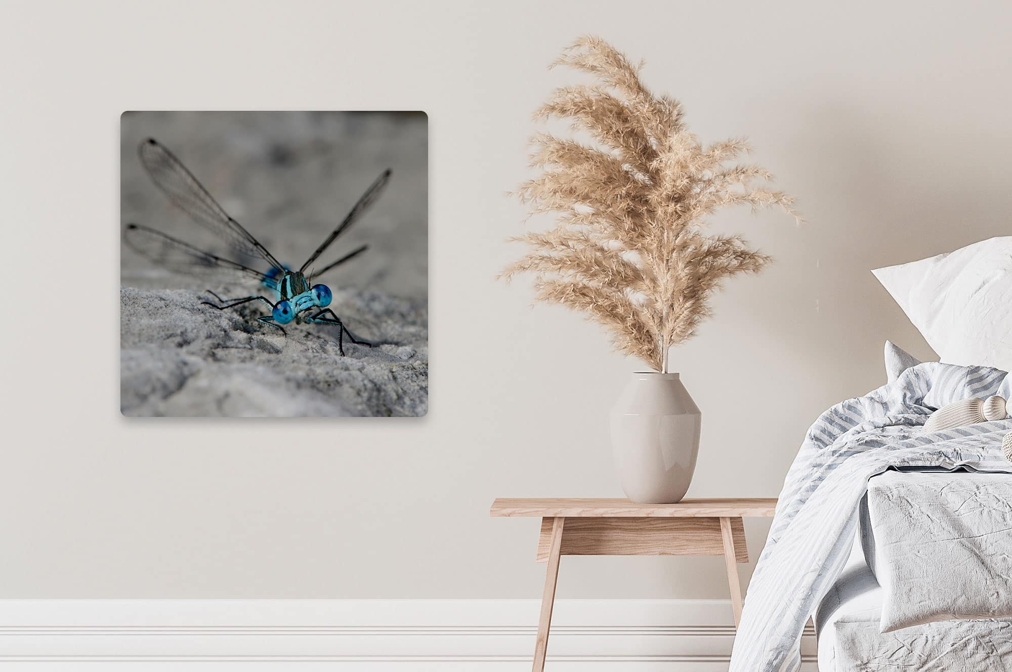 Akustikbild Libelle